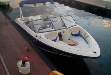 Катер Bayliner 175 фото